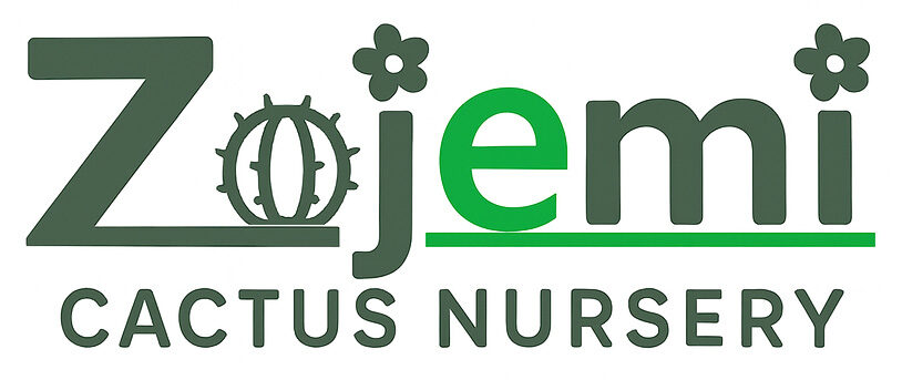 Zojemi